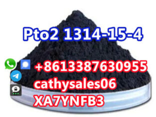 Pto2 CAS 1314-15-4 Platinum Dioxide with high quality