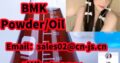 Hot Selling 20320-59-6 BMKPowder/Oil