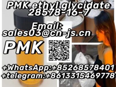 top supplier PMK ethyl glycidate 28578-16-7