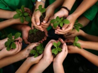 Anirbhav Foundation: Donation for Tree Plantation